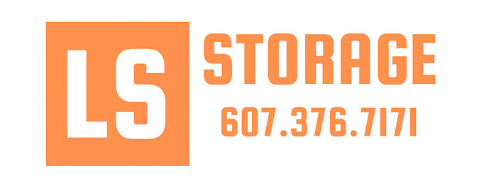 LS Storage logo.